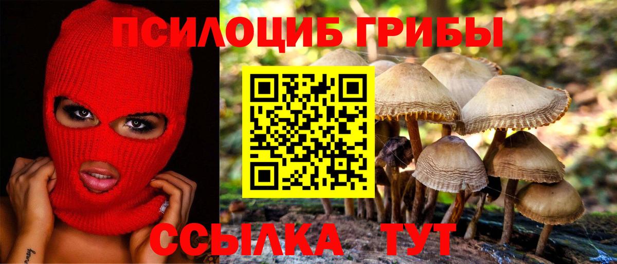 Псилоцибиновые грибы Psilocybine cubensis Гусь-Хрустальный