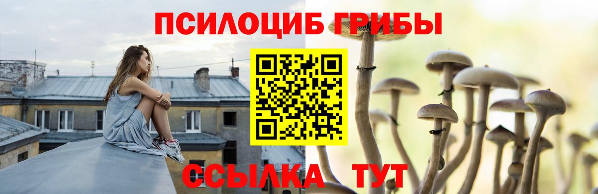 Гусь-Хрустальный  Галлюциногенные грибы прущие грибы  Вход с VPN  Псилоцибиновые грибы MAGIC MUSHROOMS 